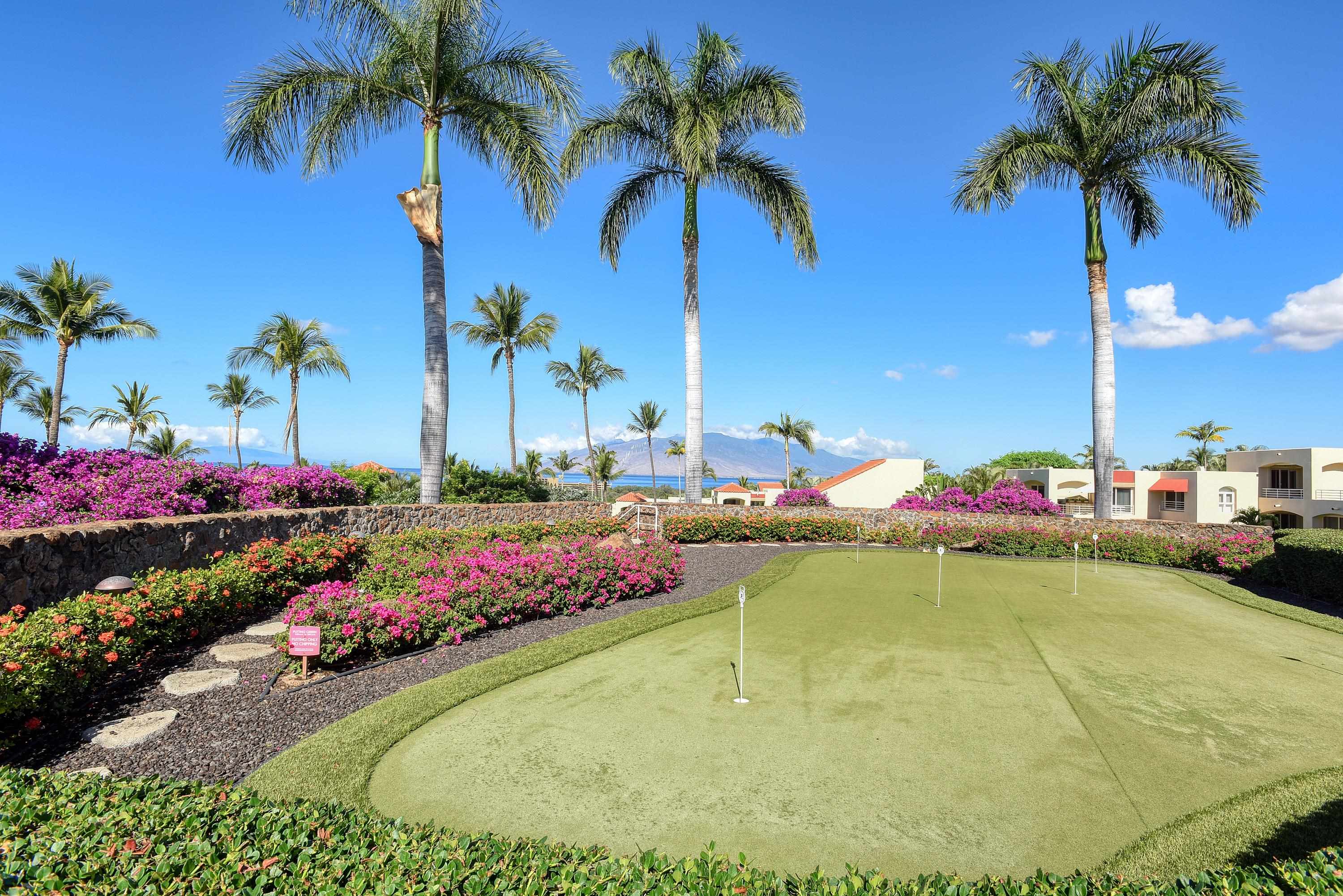 3150 Wailea Alanui Drive, Unit 3807 Kihei, HI 96753 - Photo 34 of 34 a view of a backyard