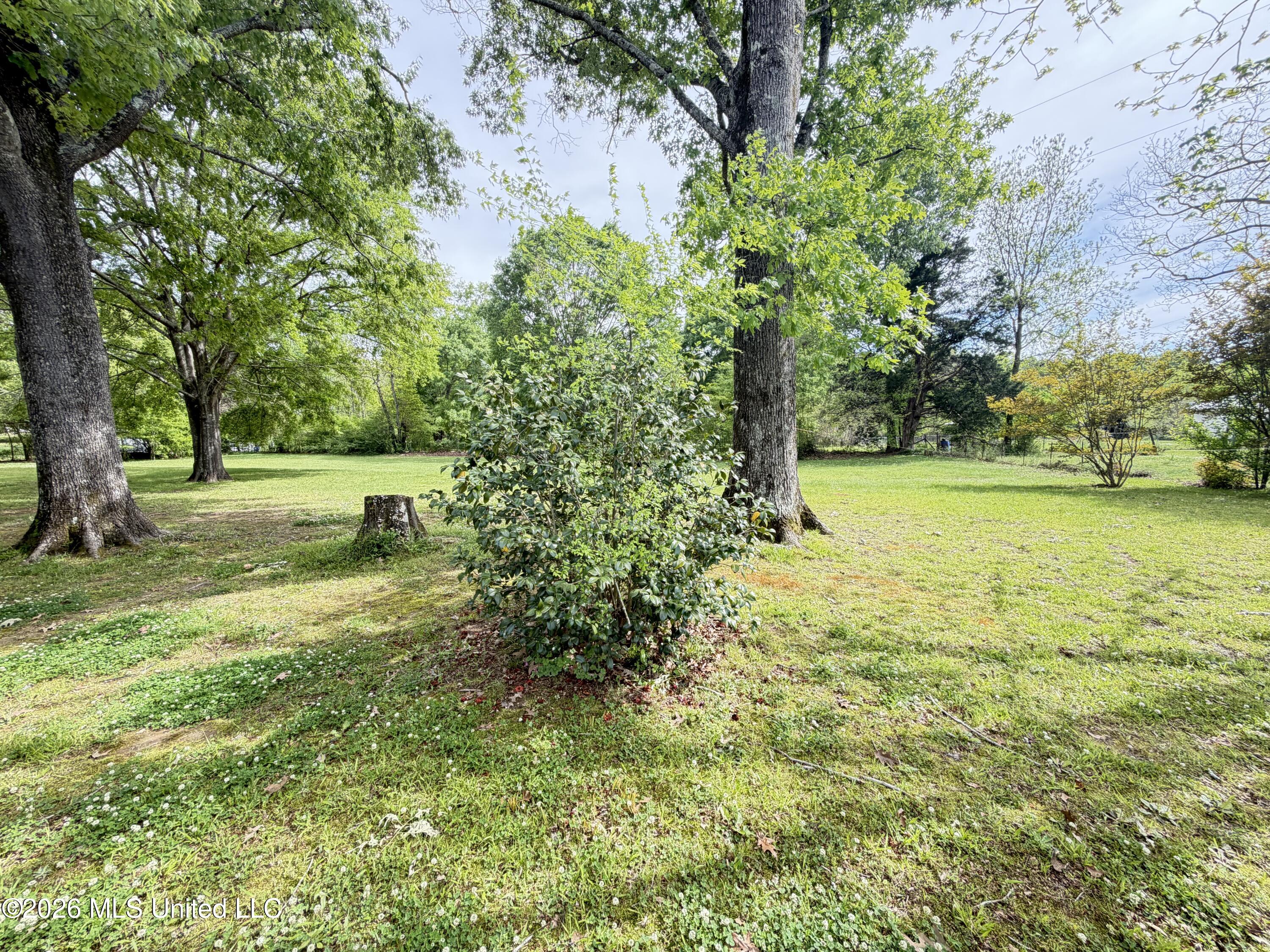 3010 Georgetown Street Hazlehurst, MS 39083 - Photo 16 of 21 IMG_2557