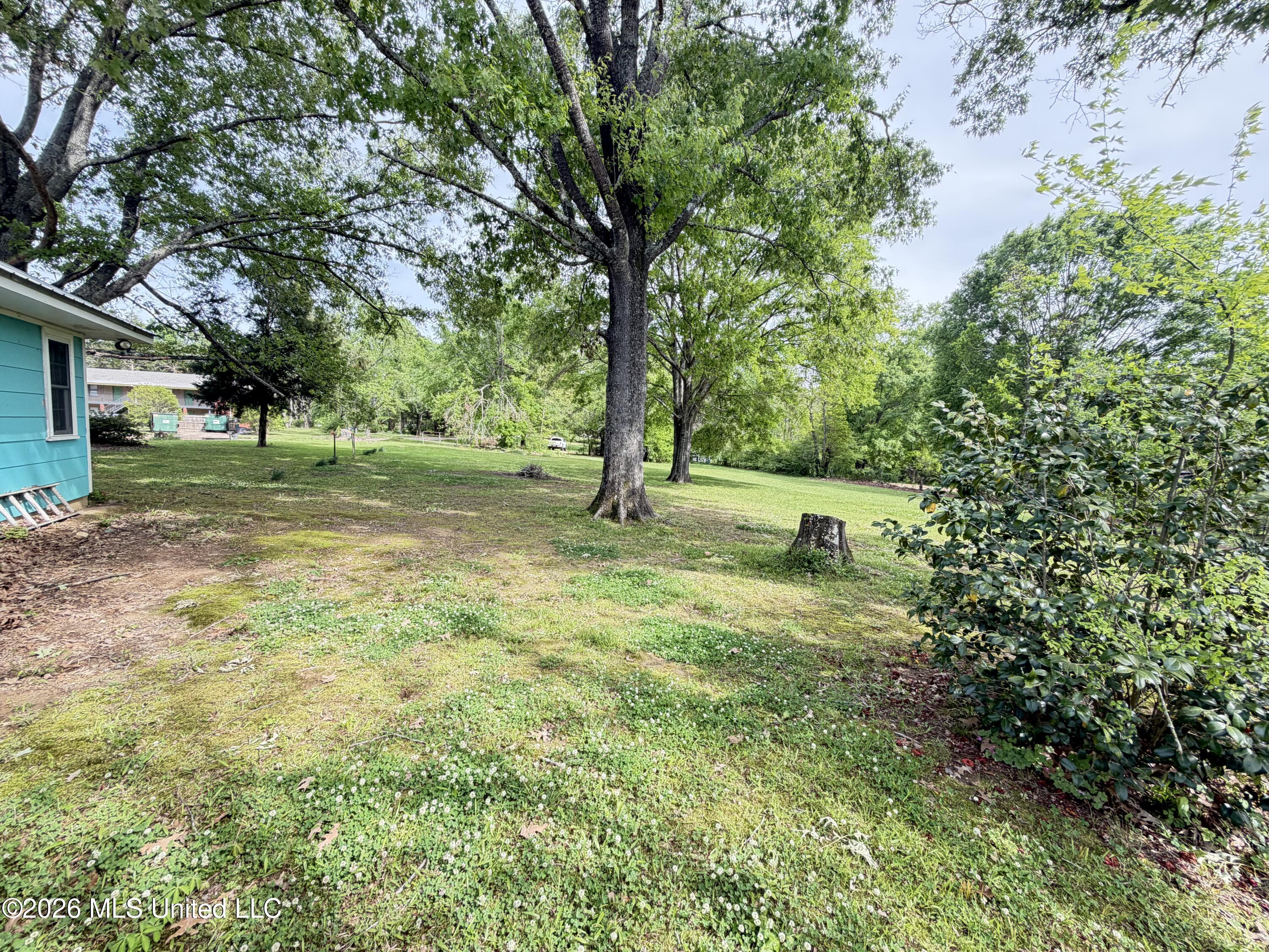 3010 Georgetown Street Hazlehurst, MS 39083 - Photo 18 of 21 IMG_2556