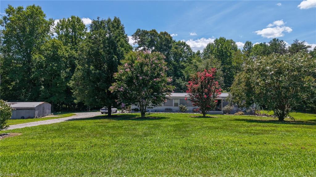 185 Bell's Lane Ronda, NC 28670 - Photo 3 of 46