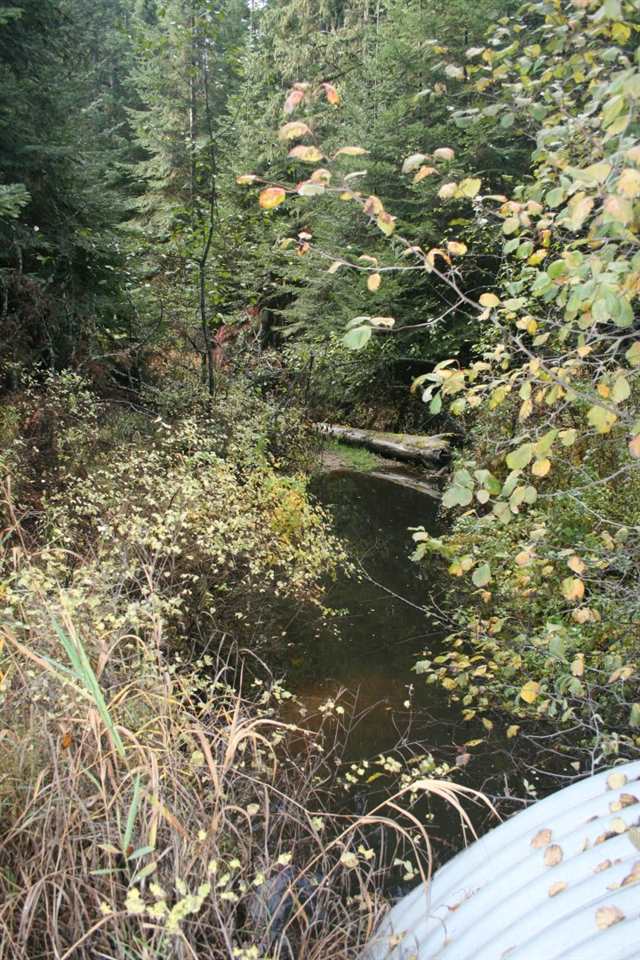 44-xxxx Whittier Road Clayton, WA 99110 - Photo 2 of 3 Gallery Image 2