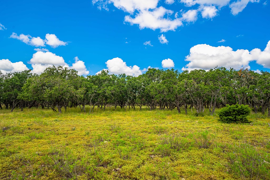 16 Blackjack Ranch Road, Unit 16 Harper, TX 78631 - Photo 4 of 11 Gallery Image 4