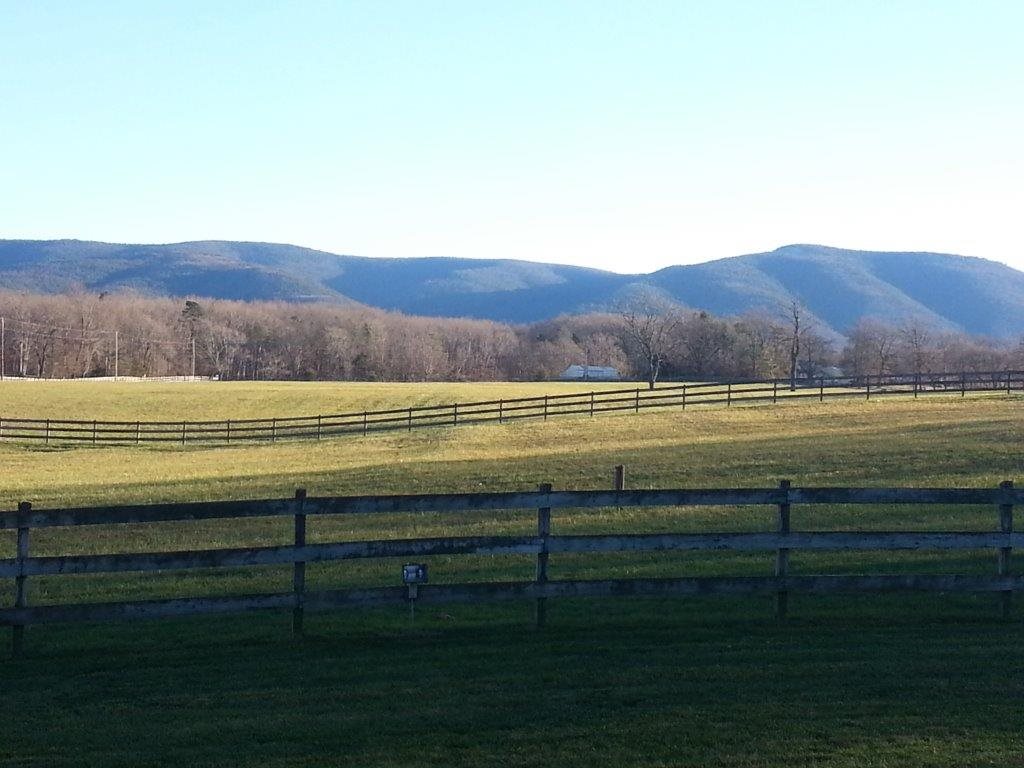 1991 Cold Springs Road Stuarts Draft, VA 24477 - Photo 27 of 50 Gallery Image 27