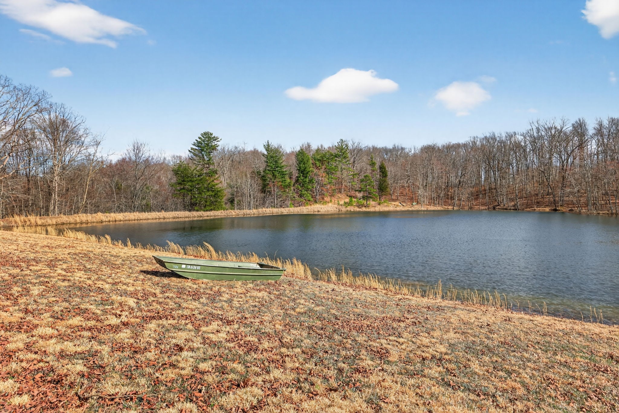 1552 New Harmony Road Pikeville, TN 37367 - Photo 6 of 28