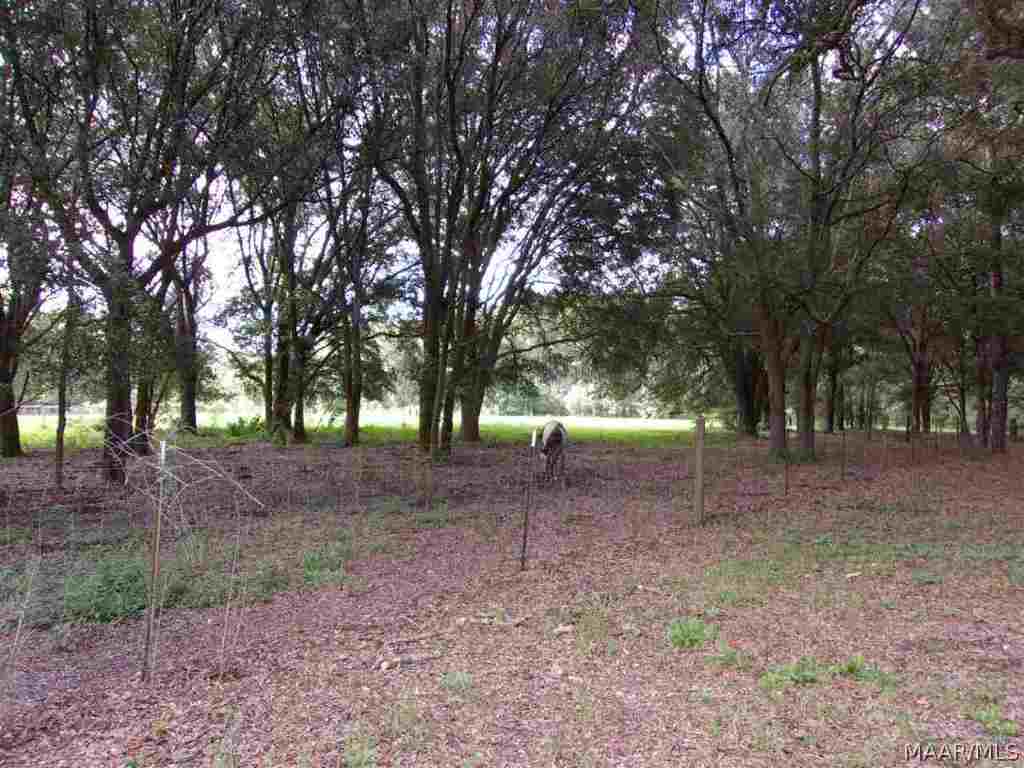 2037 Iron Bridge Road Samson, AL 36477 - Photo 32 of 36 South front pasture