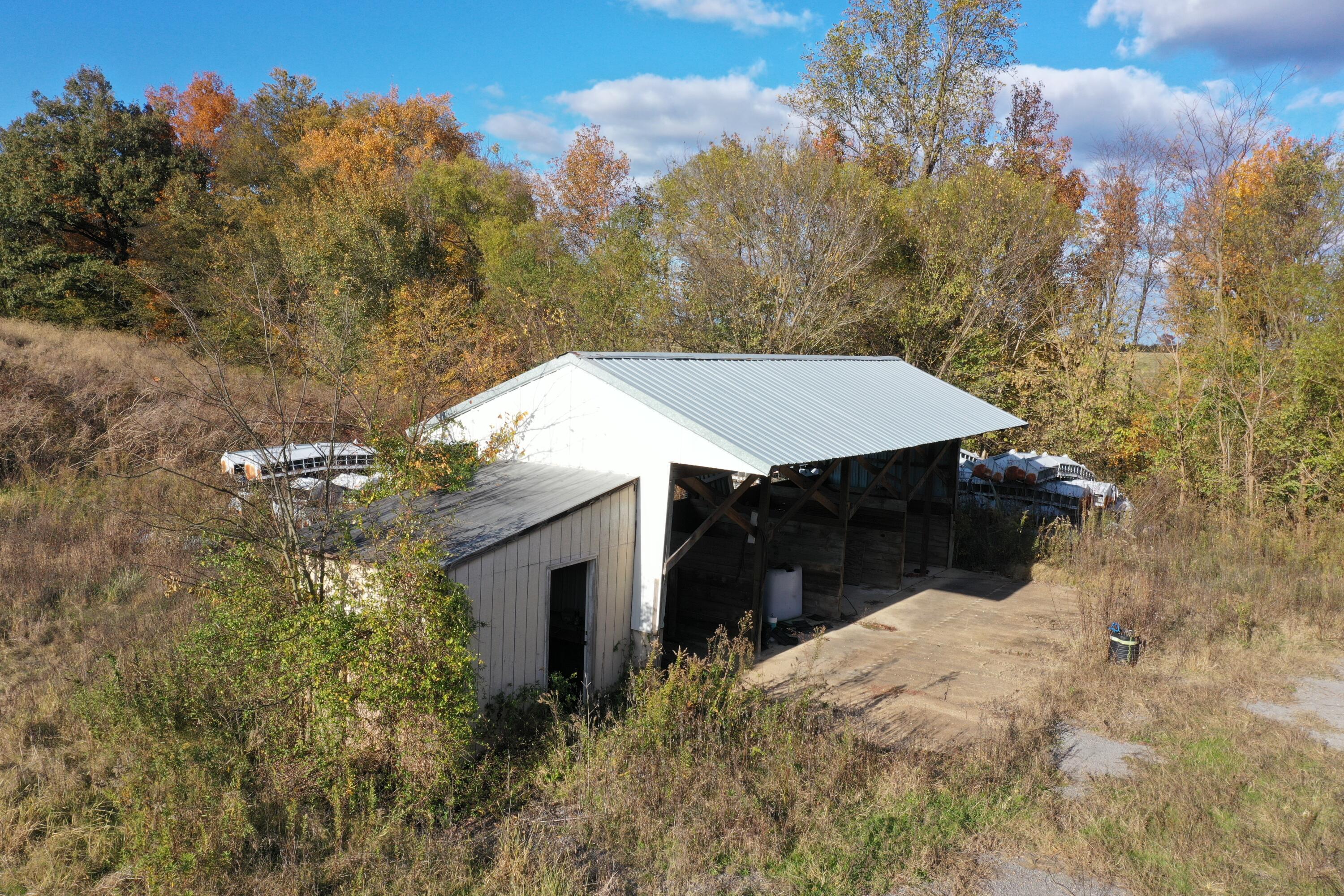0 Grubbs Road Clinton, KY 42031 - Photo 8 of 15 DJI_0058
