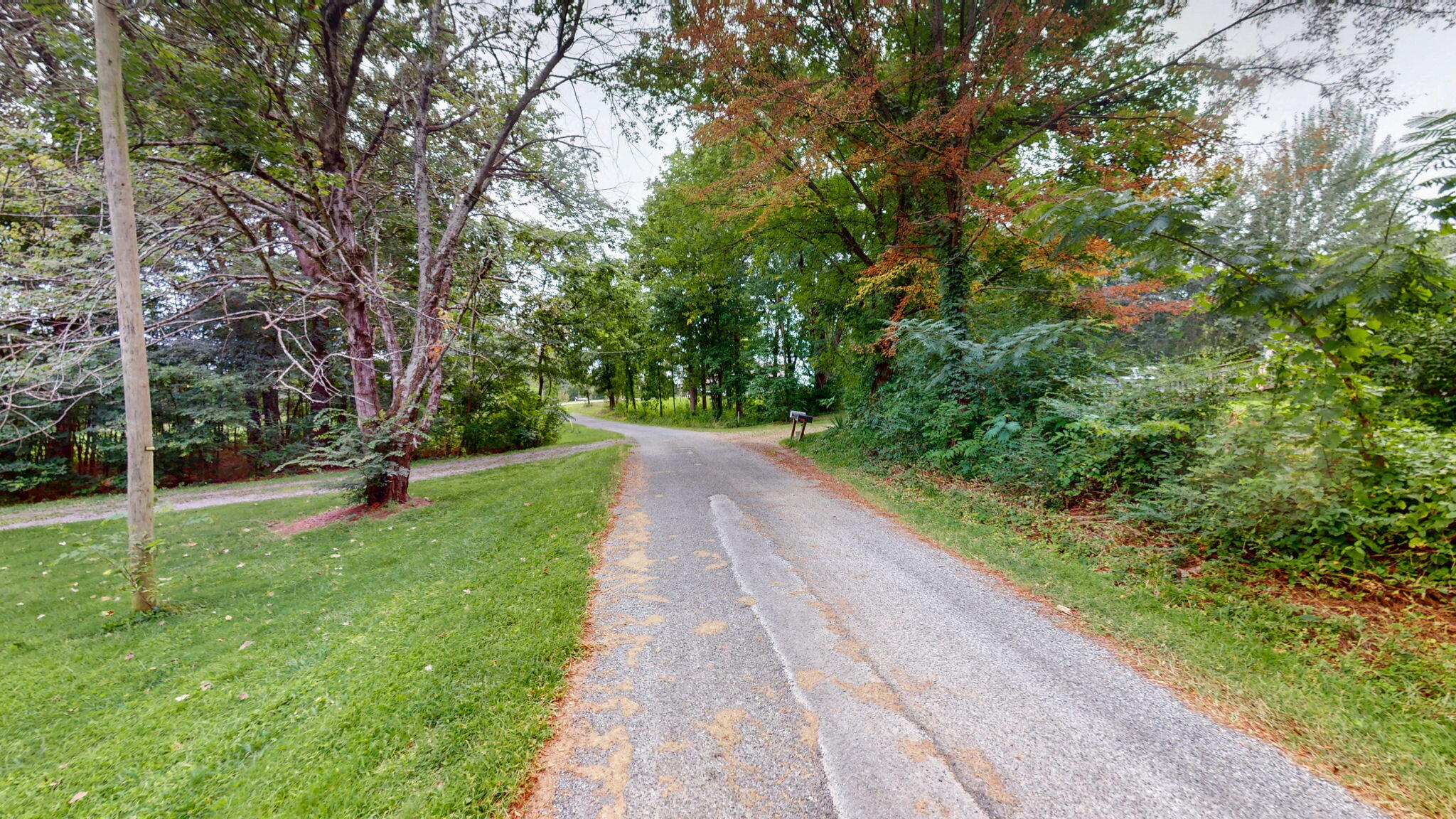 2131 Thurmond Road Murray, KY 42071 - Photo 23 of 36 8-web-or-mls-2131 Thurmond Rd Murray KY