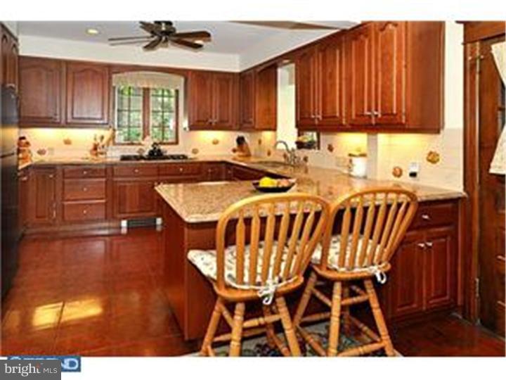 431 Clement Road Jenkintown, PA 19046 - Photo 8 of 22 Kitchen