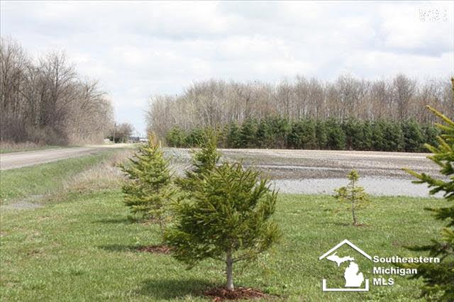 8277 Scofield Road Maybee, MI 48159 - Photo 2 of 14 20003875-1.JPG