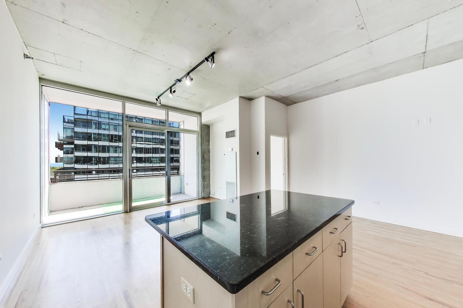 1720 South Michigan Avenue, Unit 902 Chicago, IL 60616 - Photo 8 of 32