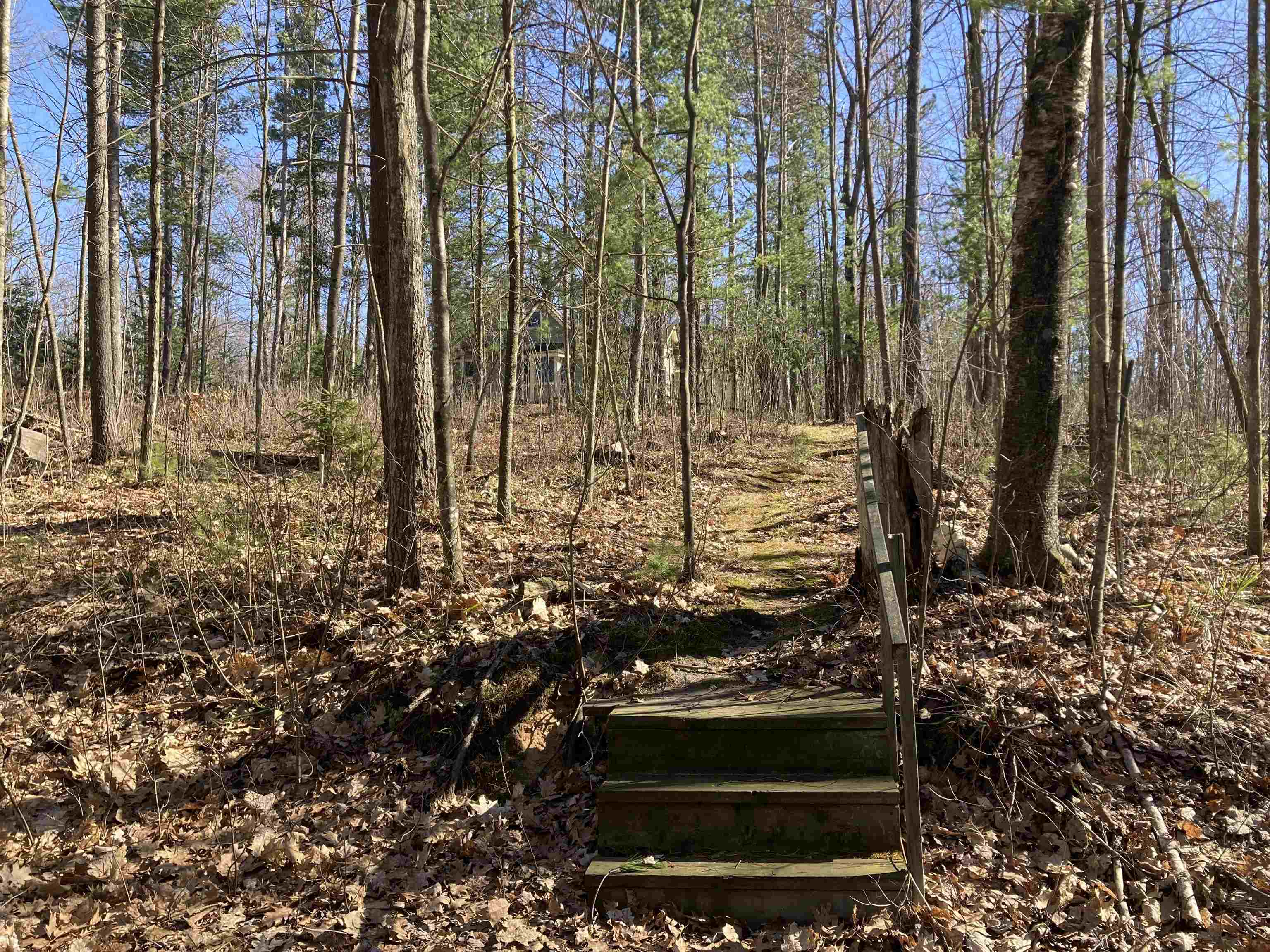 7920 Keehn Road Marion, MI 49665 - Photo 63 of 68 1921067-47b329a5-249e-4f78-a35a-3783110e0132.JPG