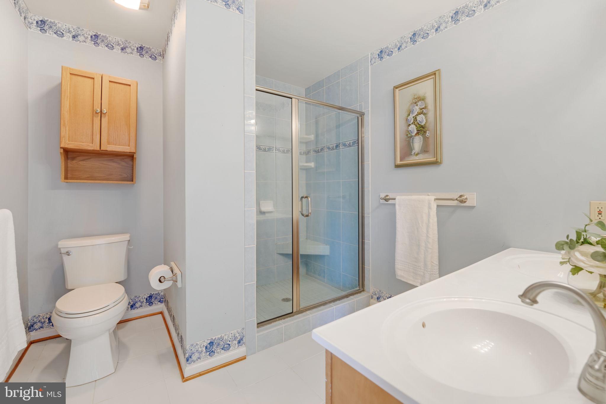 241 High Knob Road Front Royal, VA 22630 - Photo 18 of 55 Primary ensuite bath