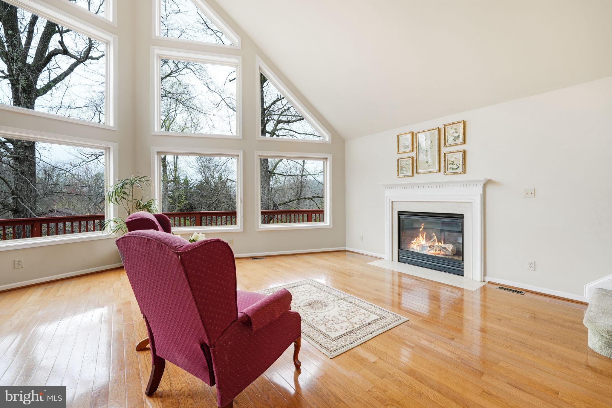 241 High Knob Road Front Royal, VA 22630 - Photo 5 of 55 Gas fireplace