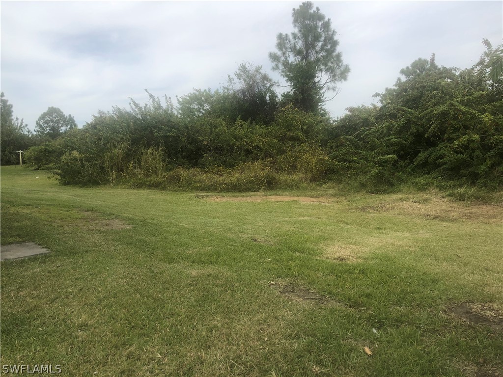 4652 27th Street Southwest Lehigh Acres, FL 33973 - Photo 20 of 21 a view of a field with a trees in the background