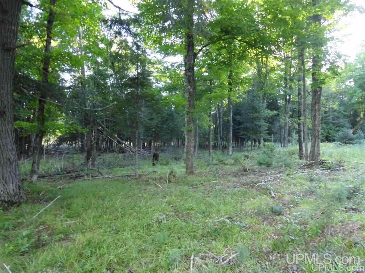 5-acres Co Rd Sa Cornell, MI 49818 - Photo 12 of 27