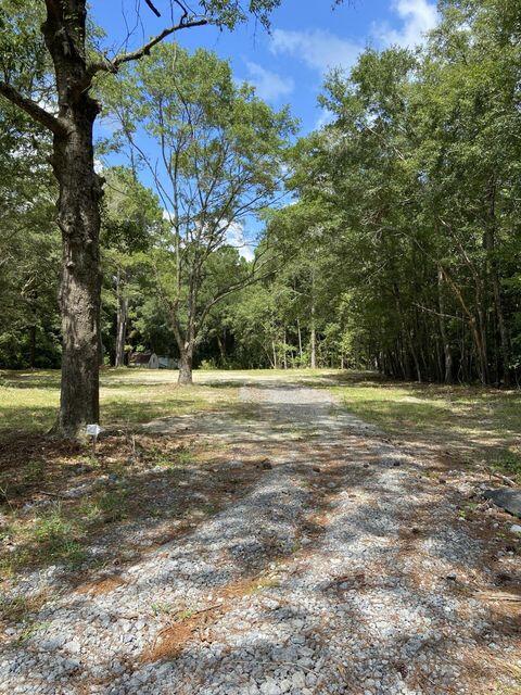 5471 Chisolm Road Johns Island, SC 29455 - Photo 3 of 6 4