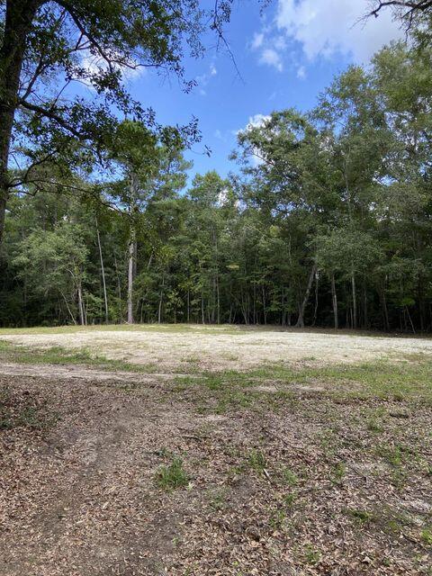 5471 Chisolm Road Johns Island, SC 29455 - Photo 4 of 6 3