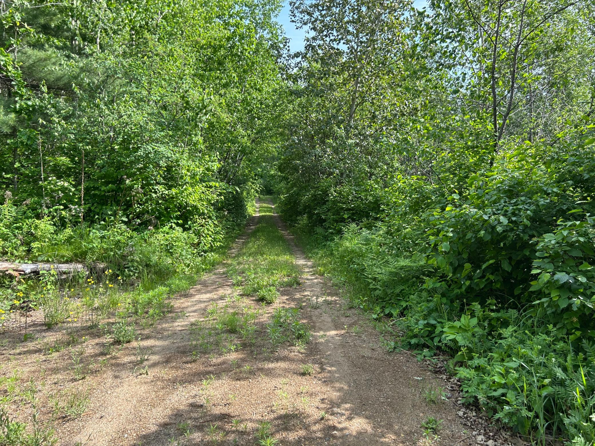 13894 Grouse Trail Bagley, MN 56621 - Photo 21 of 21