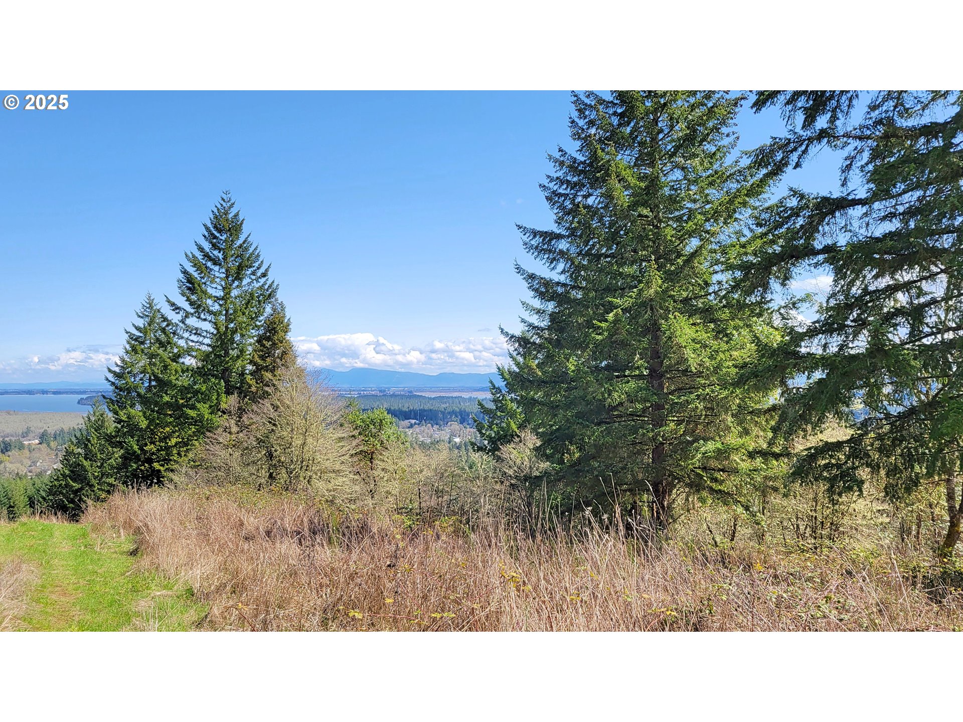 Bolton Hill Road North Veneta, OR 97487 - Photo 3 of 13 Gallery Image 3