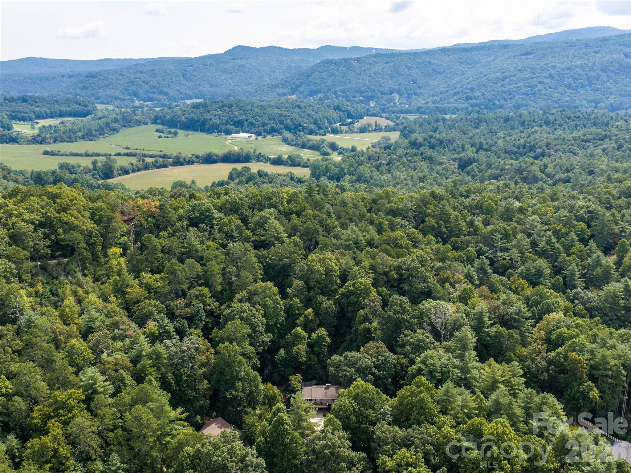 113 Riverside Estate Road Brevard, NC 28712 - Photo 35 of 36 Gallery Image 35
