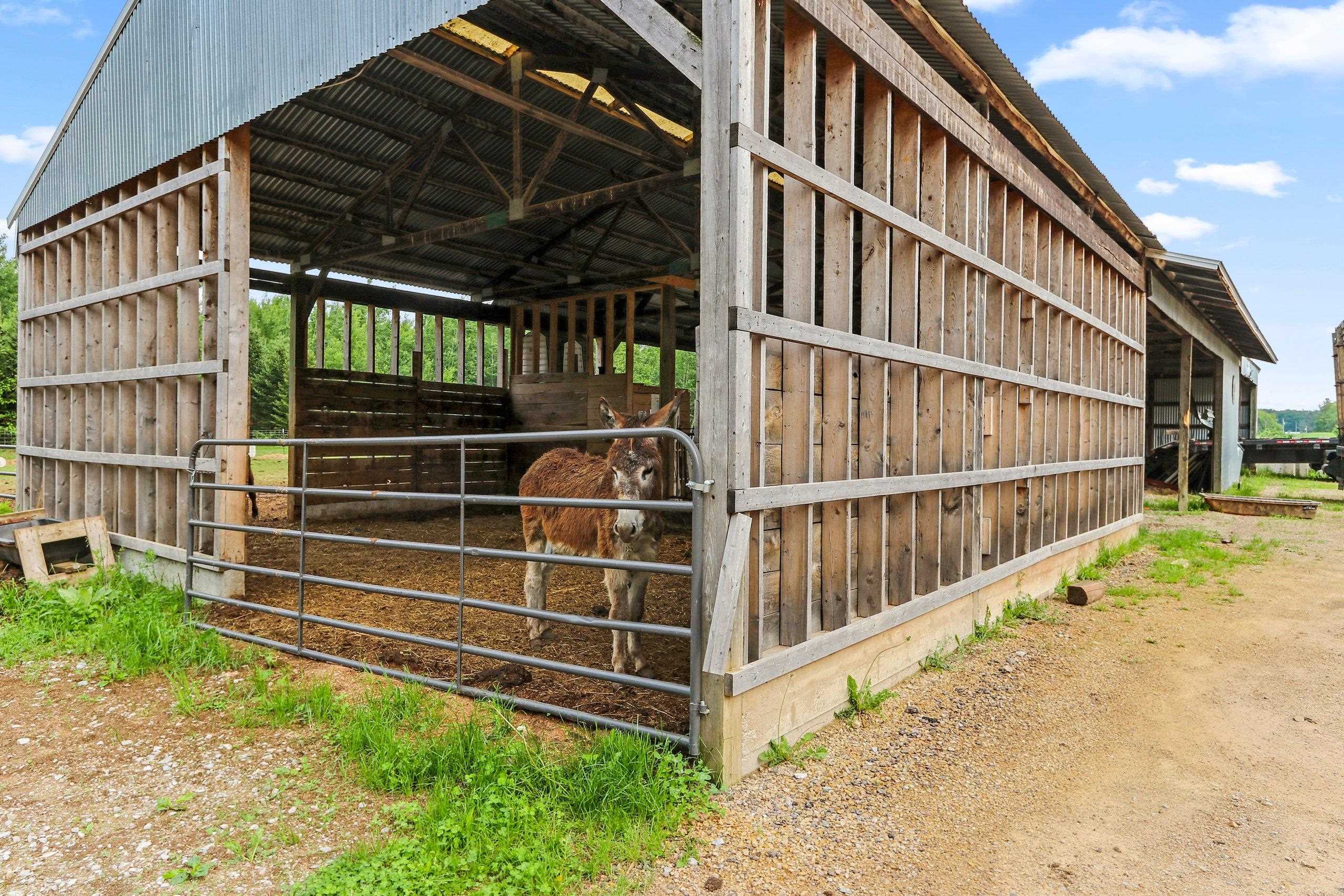 N7289 Birch Lane Shawano, WI 54166 - Photo 50 of 63
