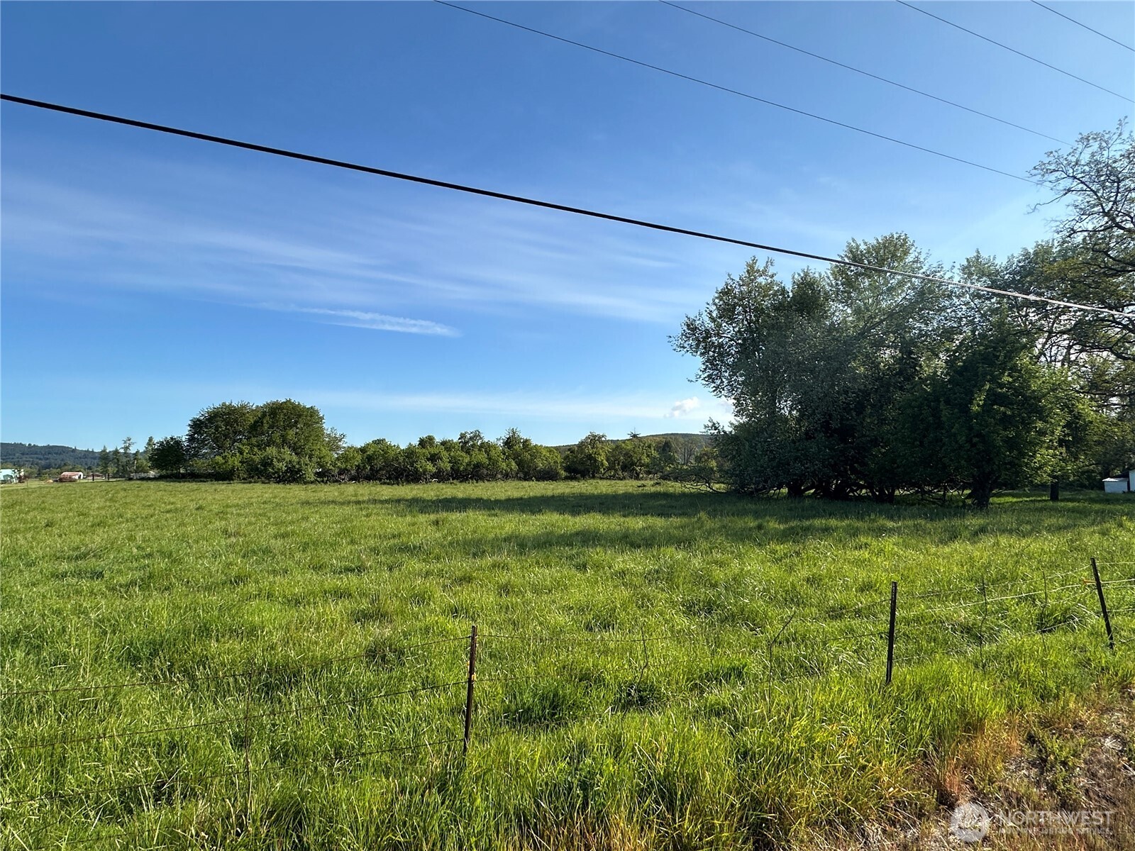 0 Pe Ell McDonald Road Curtis, WA 98538 - Photo 2 of 12 a view of a field of grass and trees