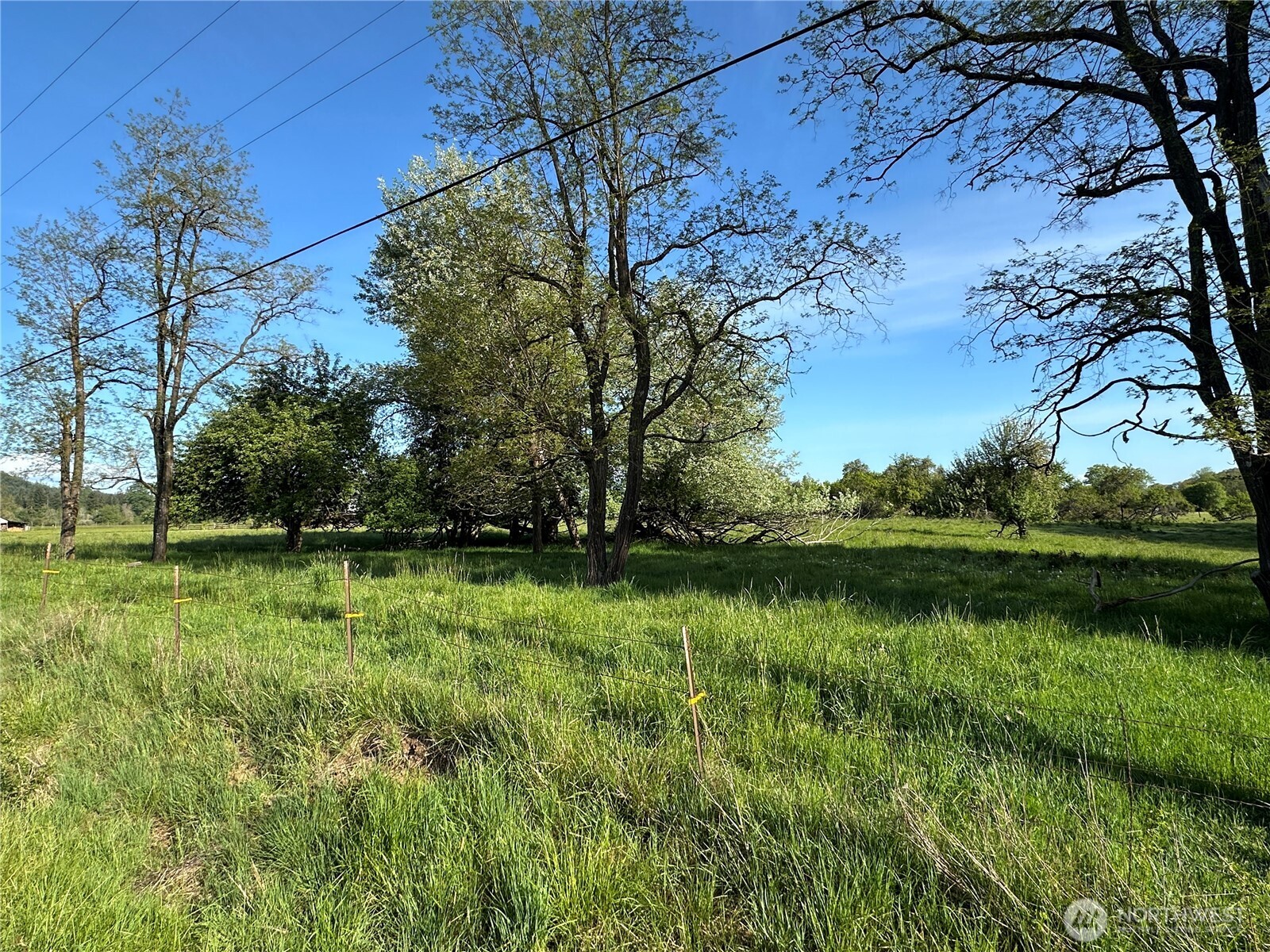 0 Pe Ell McDonald Road Curtis, WA 98538 - Photo 4 of 12 a view of lake with green space