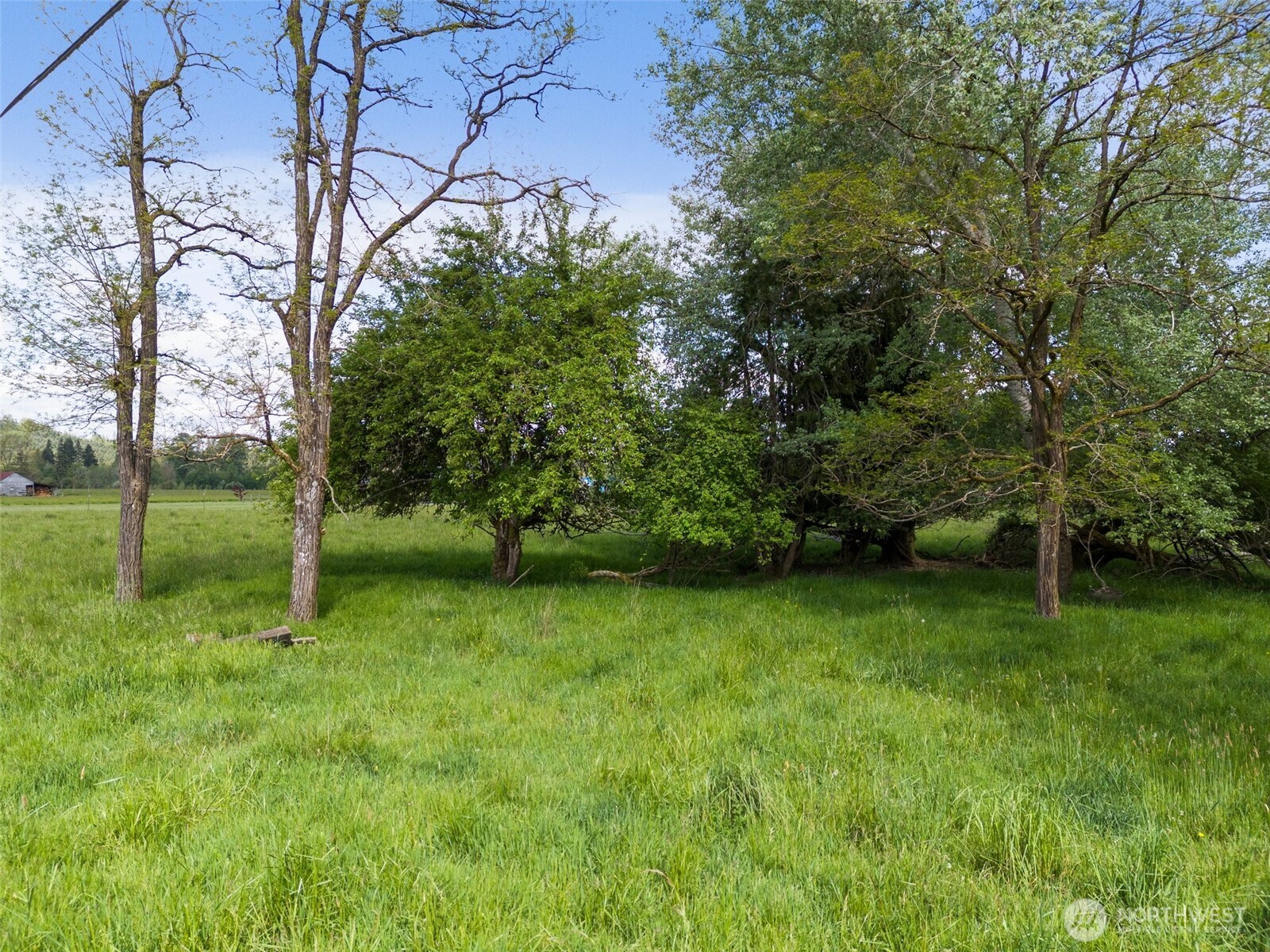 0 Pe Ell McDonald Road Curtis, WA 98538 - Photo 6 of 12 a view of an outdoor space and a yard