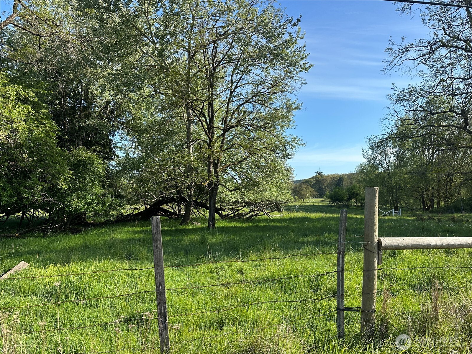 0 Pe Ell McDonald Road Curtis, WA 98538 - Photo 8 of 12 a backyard of a house with lots of green space and lake view