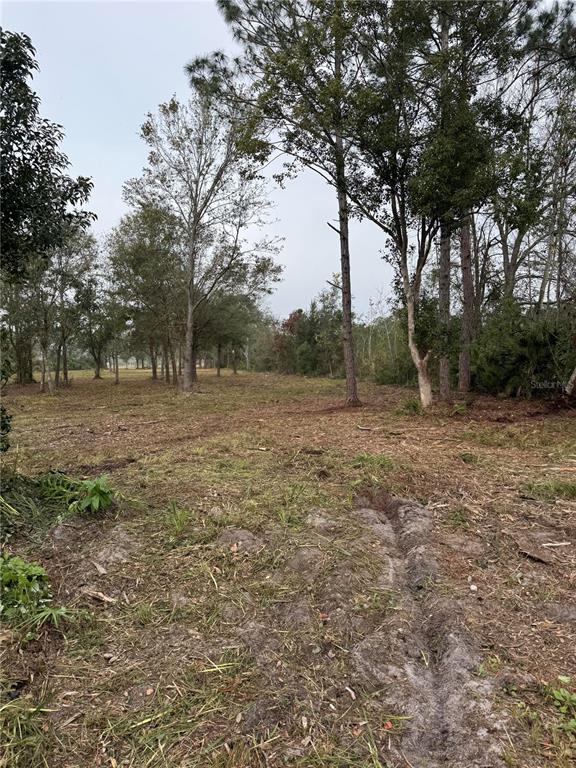 0 West Frostproof Road Frostproof, FL 33843 - Photo 3 of 6