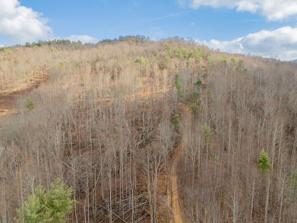 451 Summerfield Road Independence, VA 24348 - Photo 95 of 100 Gallery Image 95
