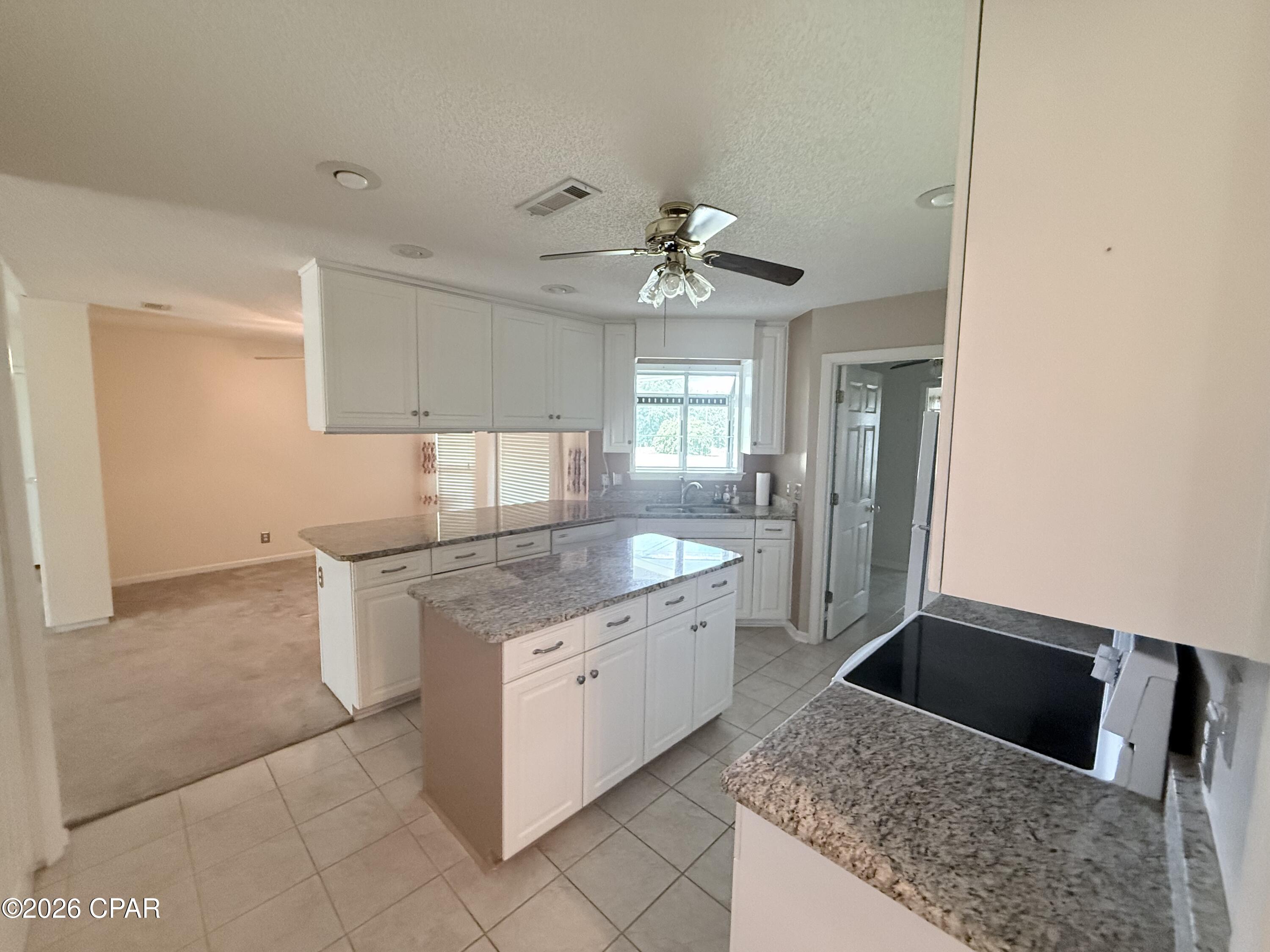 2816 Jackson Bluff Road Marianna, FL 32446 - Photo 8 of 37