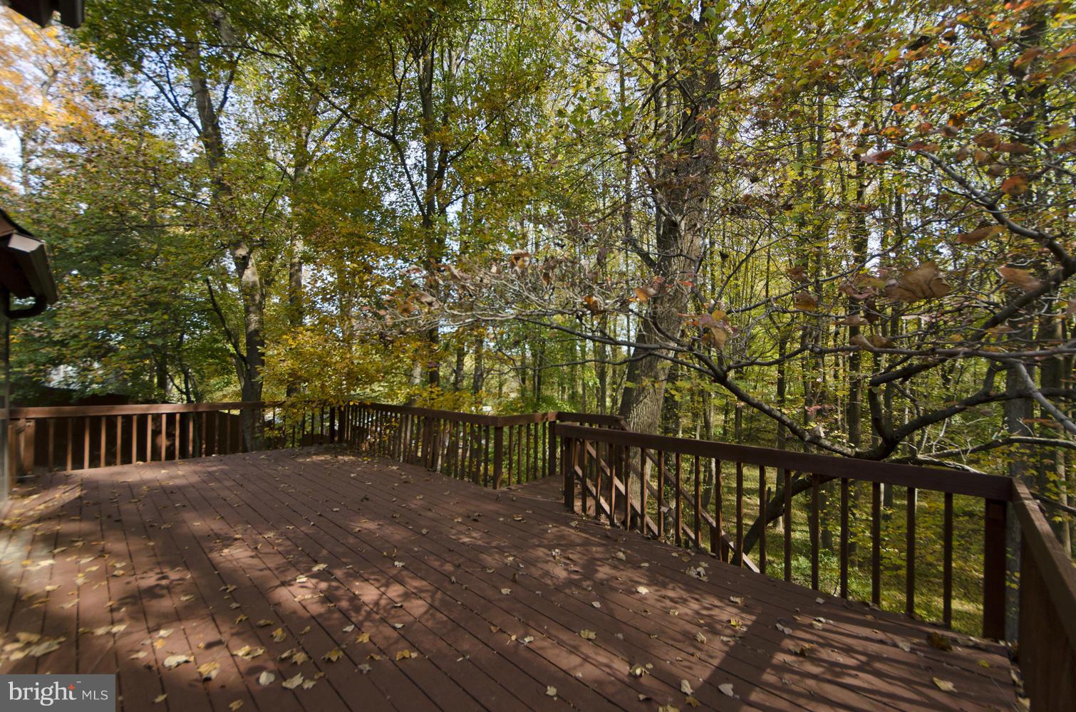 1929 Hunter Mill Road Vienna, VA 22182 - Photo 28 of 30 Rear 2 level deck backs to parkland