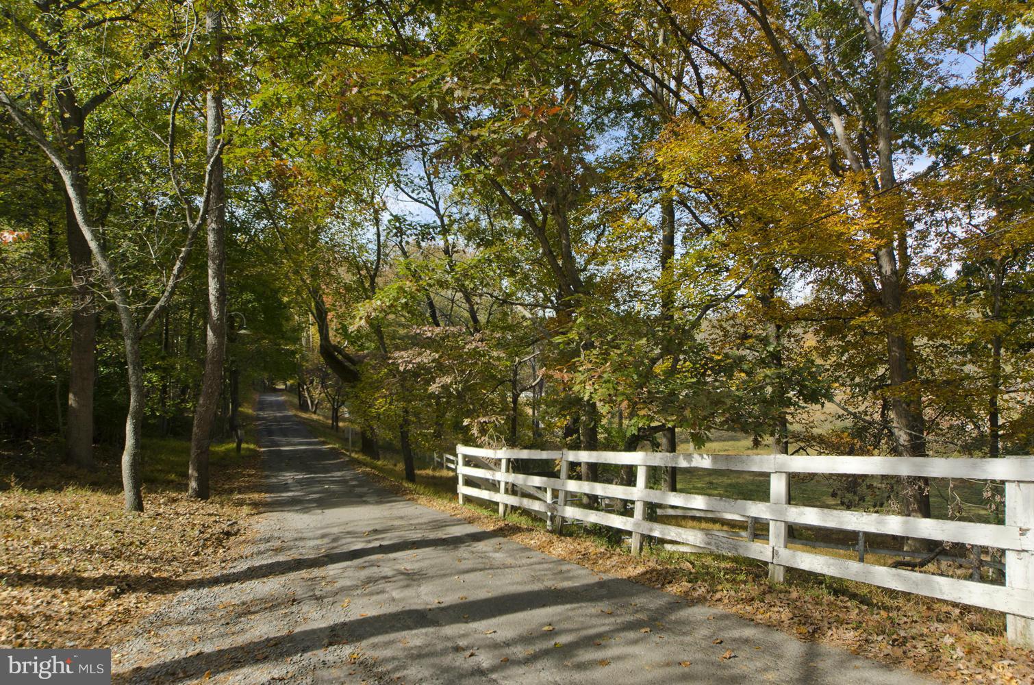 1929 Hunter Mill Road Vienna, VA 22182 - Photo 30 of 30 Beautiful Tree Lined Driveway!