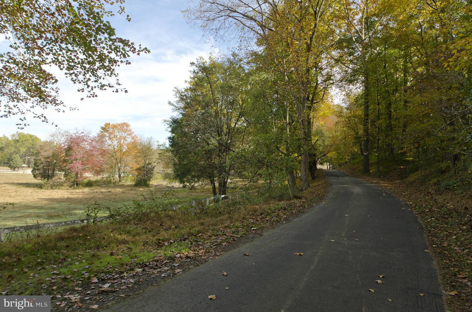 1929 Hunter Mill Road Vienna, VA 22182 - Photo 5 of 30 View from driveway