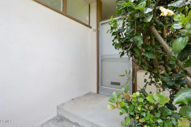 a view of a plants with potted plants