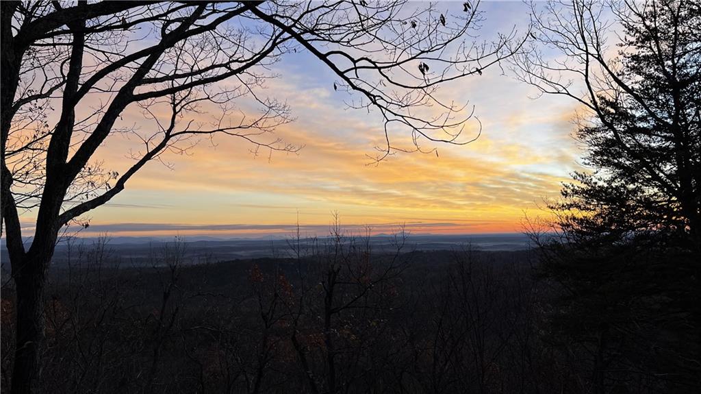 64 Wild Turkey Bluff Jasper, GA 30143 - Photo 1 of 1