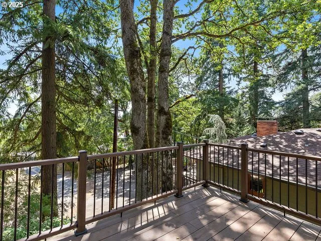 a view of a forest with trees