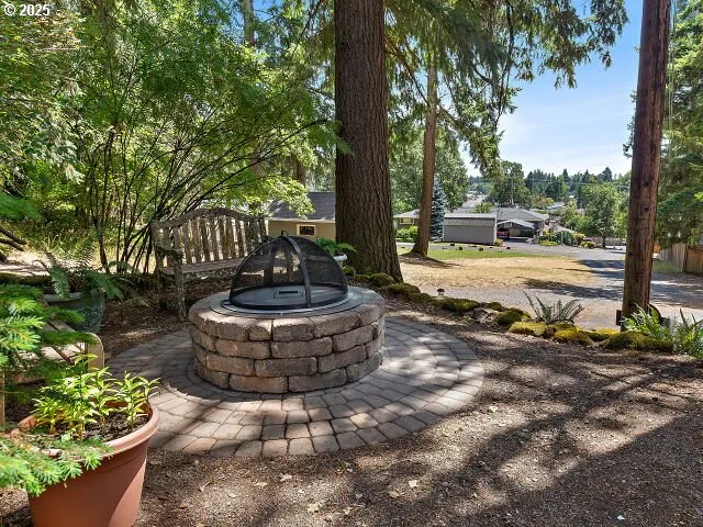 a view of a forest with lush green forest