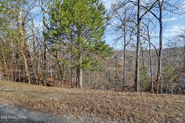$65,000 | Ten Red Cloud Lane, Ten Mile, TN 37880