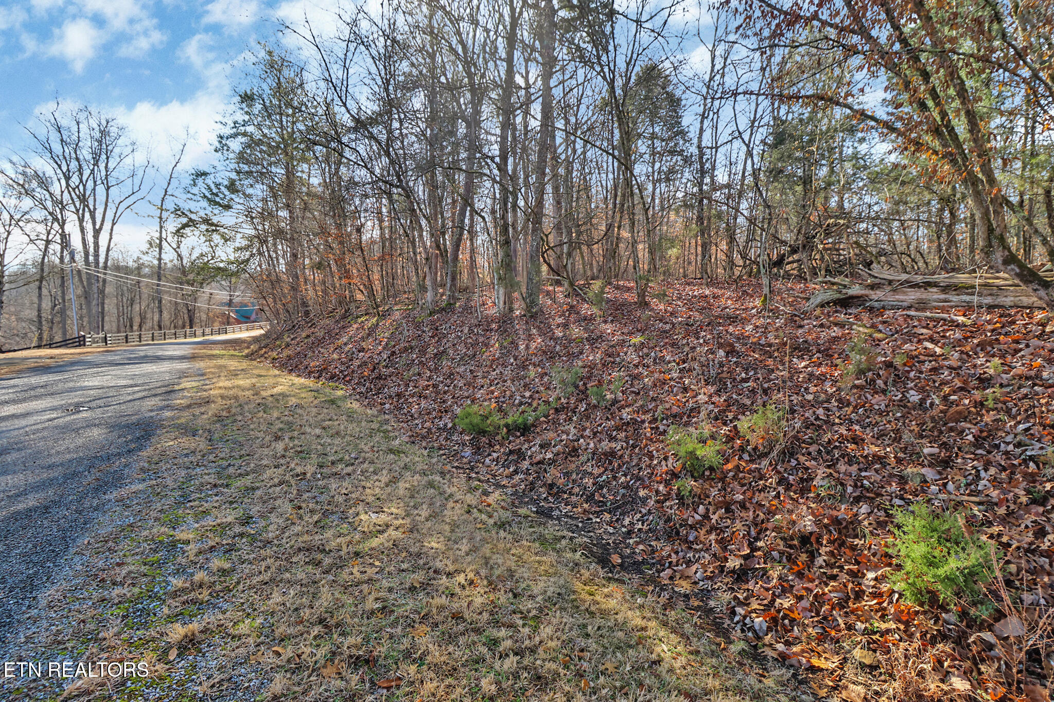 Ten Red Cloud Lane Ten Mile, TN 37880 - Photo 15 of 15 if1a7288-if1a7292