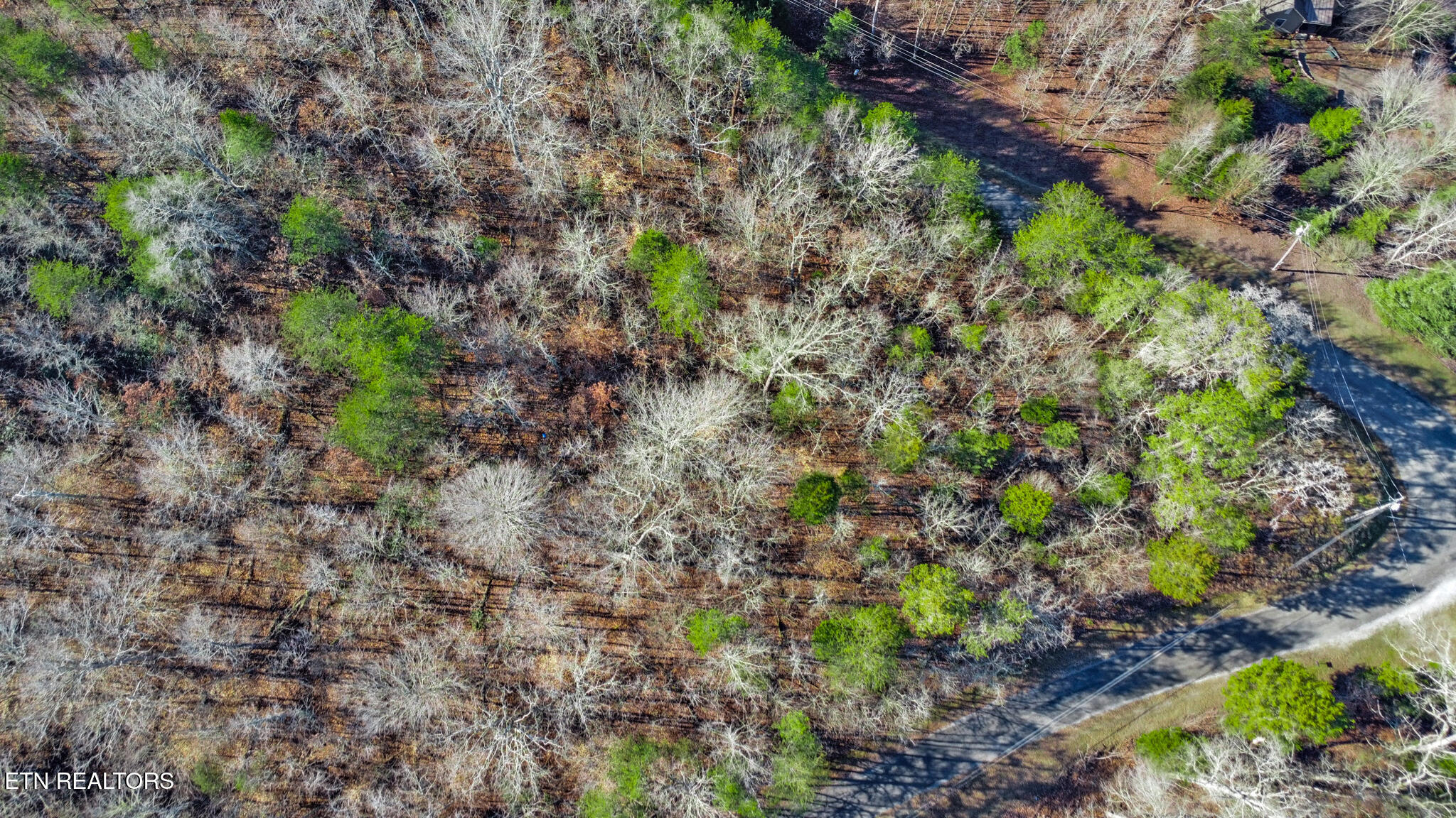 Ten Red Cloud Lane Ten Mile, TN 37880 - Photo 9 of 15 dji_0751-dji_0753