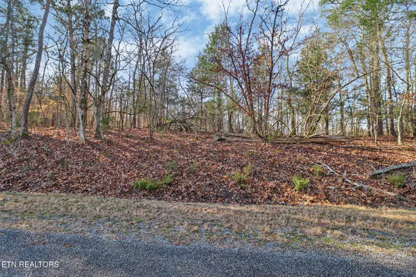 $65,000 | Ten Red Cloud Lane, Ten Mile, TN 37880