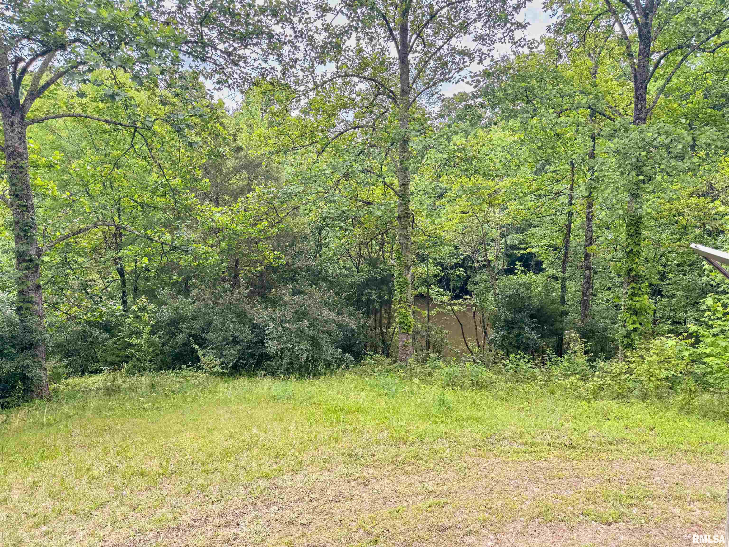 5660 Lingle Creek Road Jonesboro, IL 62952 - Photo 11 of 36
