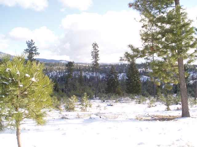 0 East Antler Road Chattaroy, WA 99003 - Photo 3 of 5 Gallery Image 3