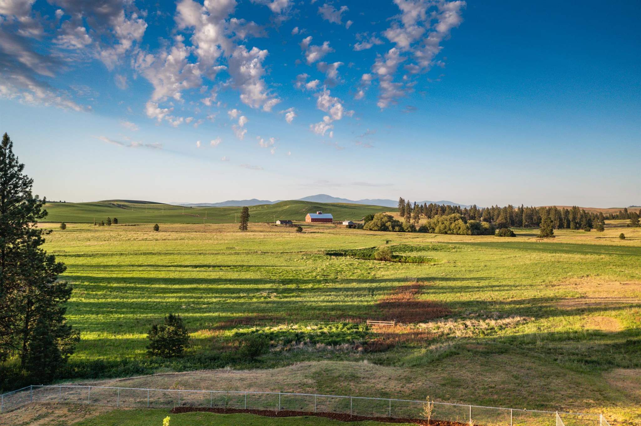 31727 South North Kentuck Trails Road Spangle, WA 99031 - Photo 2 of 50
