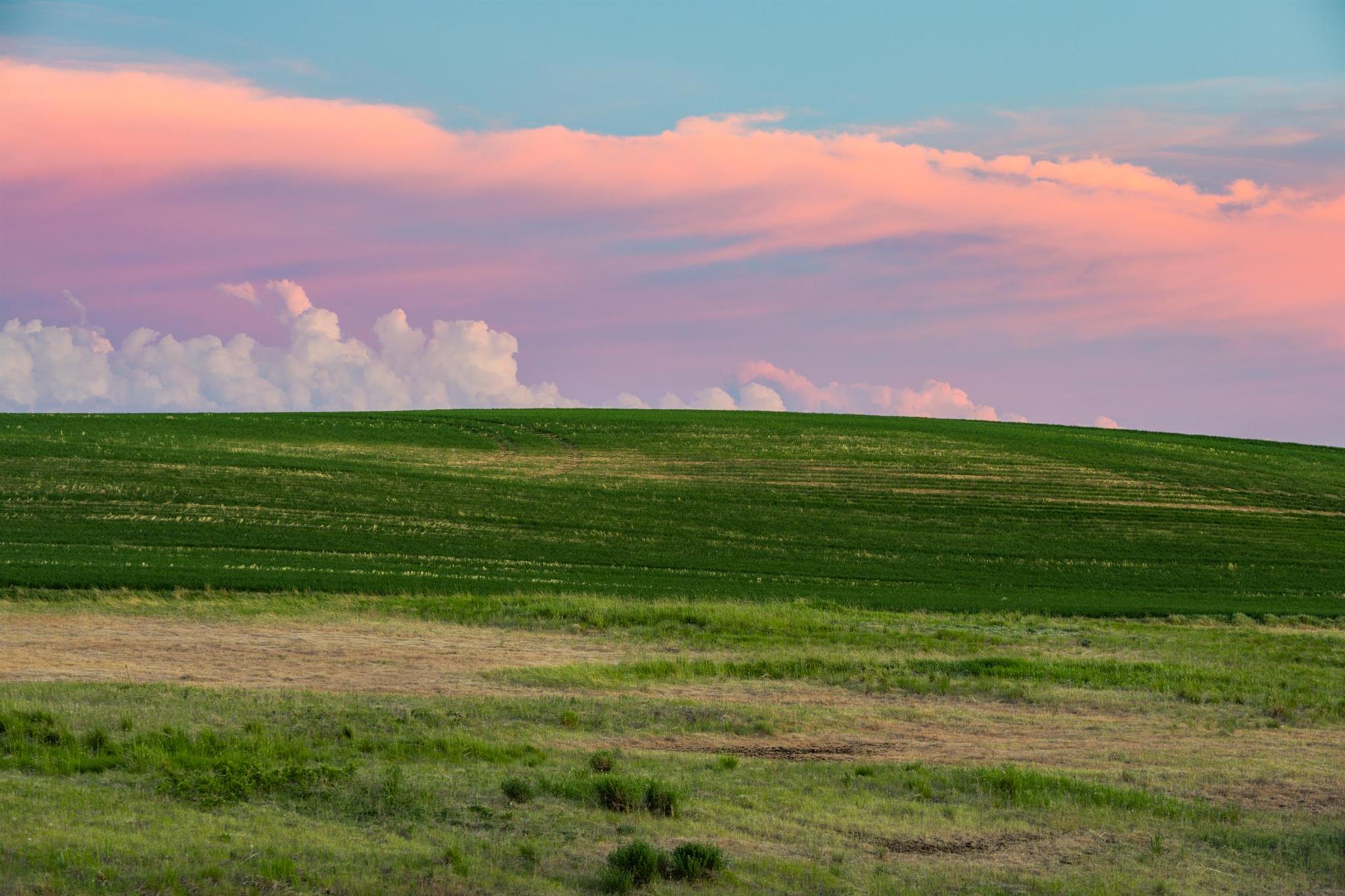 31727 South North Kentuck Trails Road Spangle, WA 99031 - Photo 4 of 50