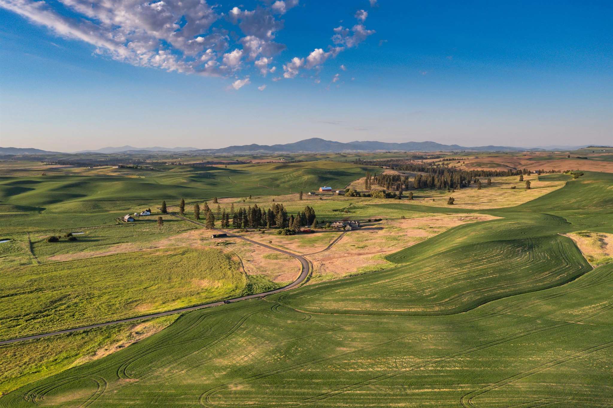 31727 South North Kentuck Trails Road Spangle, WA 99031 - Photo 36 of 50