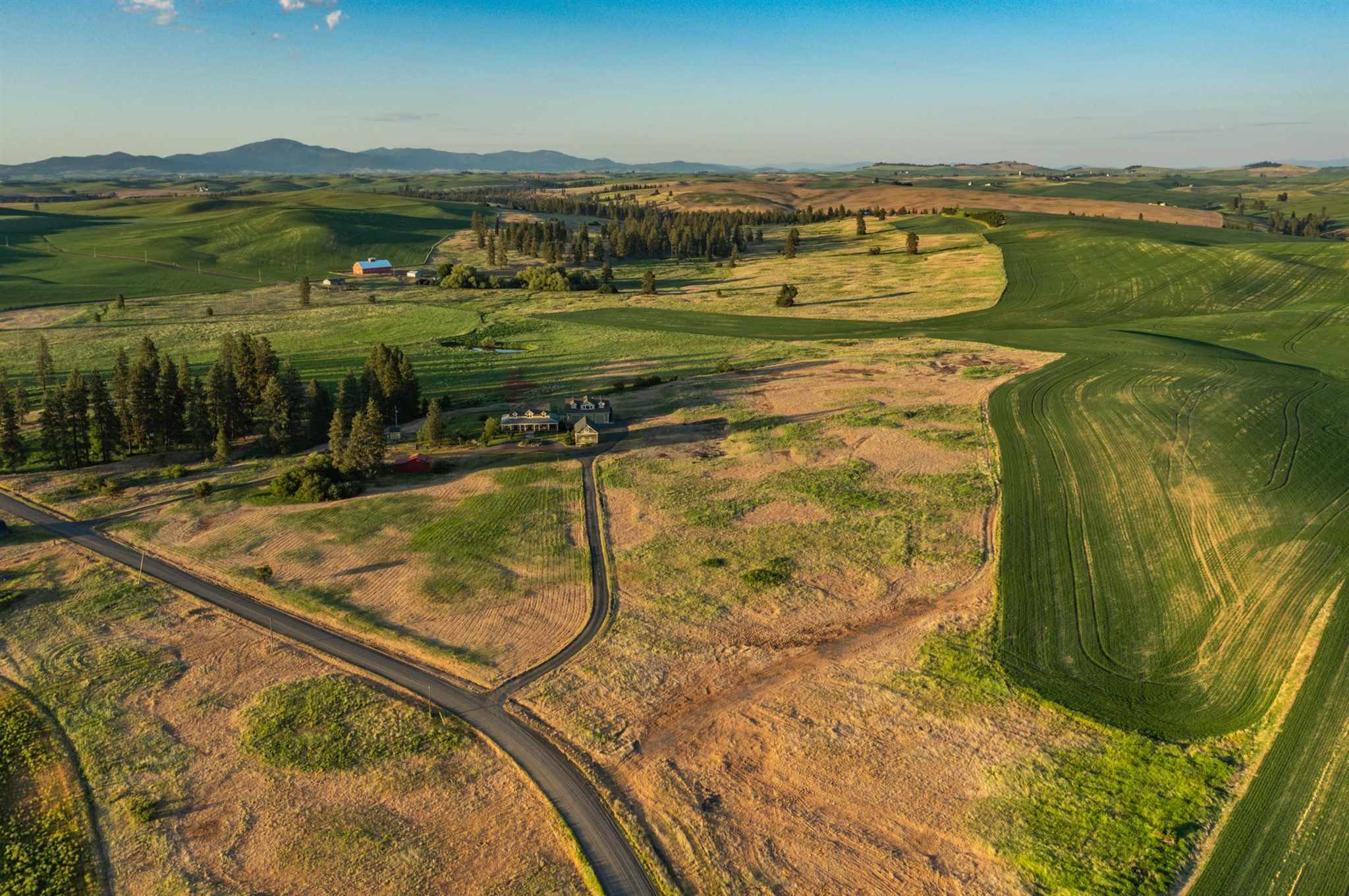 31727 South North Kentuck Trails Road Spangle, WA 99031 - Photo 37 of 50