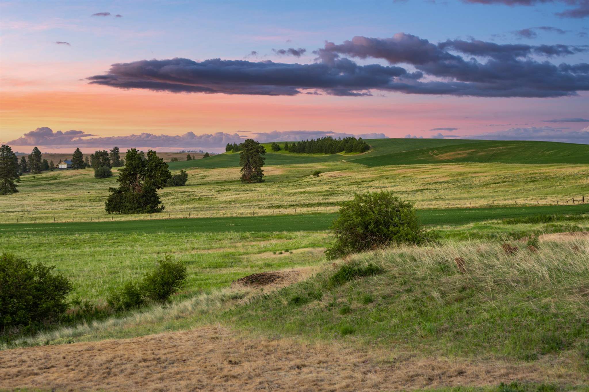 31727 South North Kentuck Trails Road Spangle, WA 99031 - Photo 5 of 50
